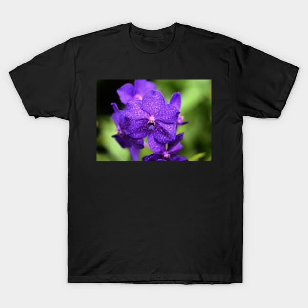 Purple flowers T-Shirt by RobertsArt